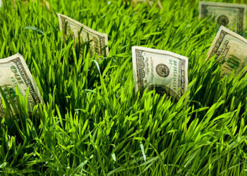 cash and land
